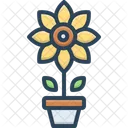 Sonnenblume  Symbol