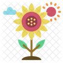 Sonnenblume  Symbol