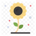 Sonnenblume  Symbol