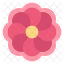 Sonnenblume  Symbol