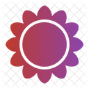 Sonnenblume  Icon