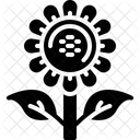 Sonnenblume  Symbol