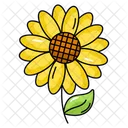 Sonnenblume  Symbol