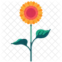 Sonnenblume  Symbol