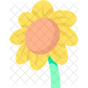 Sonnenblume  Symbol