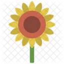 Sonnenblume  Symbol