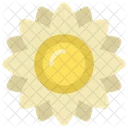 Sonnenblume  Symbol