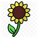 Sonnenblume  Symbol