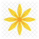 Sonnenblume  Symbol