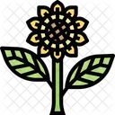 Sonnenblume  Symbol