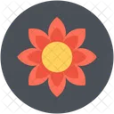 Sonnenblume Blute Blume Symbol