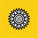 Sonnenblume  Symbol