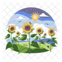 Sonnenblumenfeld  Icon