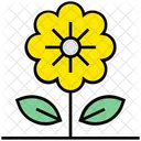 Sommer Sonnenblume Blume Symbol