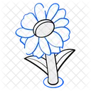 Sonnenblume  Symbol