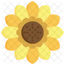 Sonnenblume Blume Gelb Symbol