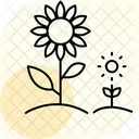 Sonnenblumenfeld Symbol