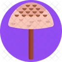 Pilze Parasolpilz Pilz Symbol