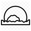 Texas Symbol