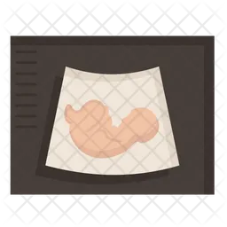 Sonogram  Icon