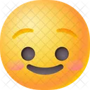 Sonrisa Feliz Cara Icono