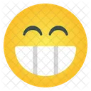 Emoticon sonrisa risa  Icon