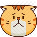 Sorge Emoticon Katze Symbol