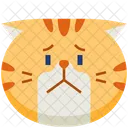 Sorge Emoticon Katze Symbol