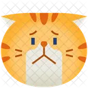 Sorge Emoticon Katze Symbol