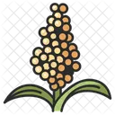 Sorghum  Icon