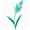 Sorghum Plant  Icon