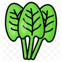 Sorrel Vegetable Food Icon