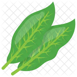 Sorrel Leaves  Icon