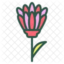 Souci Fleur Floral Icon