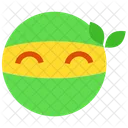 Ninja souriant  Icon