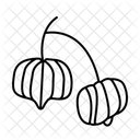 Soursop  Icon