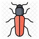 Sow bug  Icon