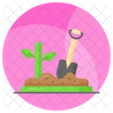 Sow Sowing Seeding Icon