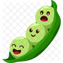 Soy Bean Food Vegetable Icon