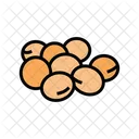 Soy Seed Soy Seed Icon