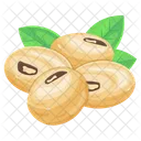 Soy Seeds  Icon