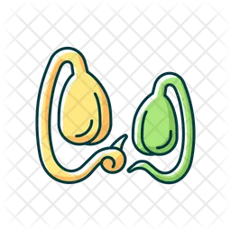 Soy sprouts  Icon