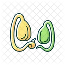 Soy Sprouts Icon