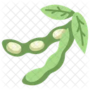 Soybean  Icon