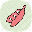 Soybean Farm Agriculture Icon