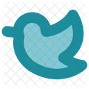 Soziale Medien Twitter Sozial Icon