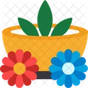 Spa Beauty Treatment Icon