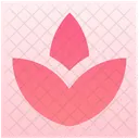 Spa Icon