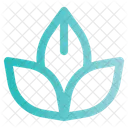 Spa Lotus Flower Icon