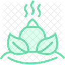 Logo Du Spa Icon